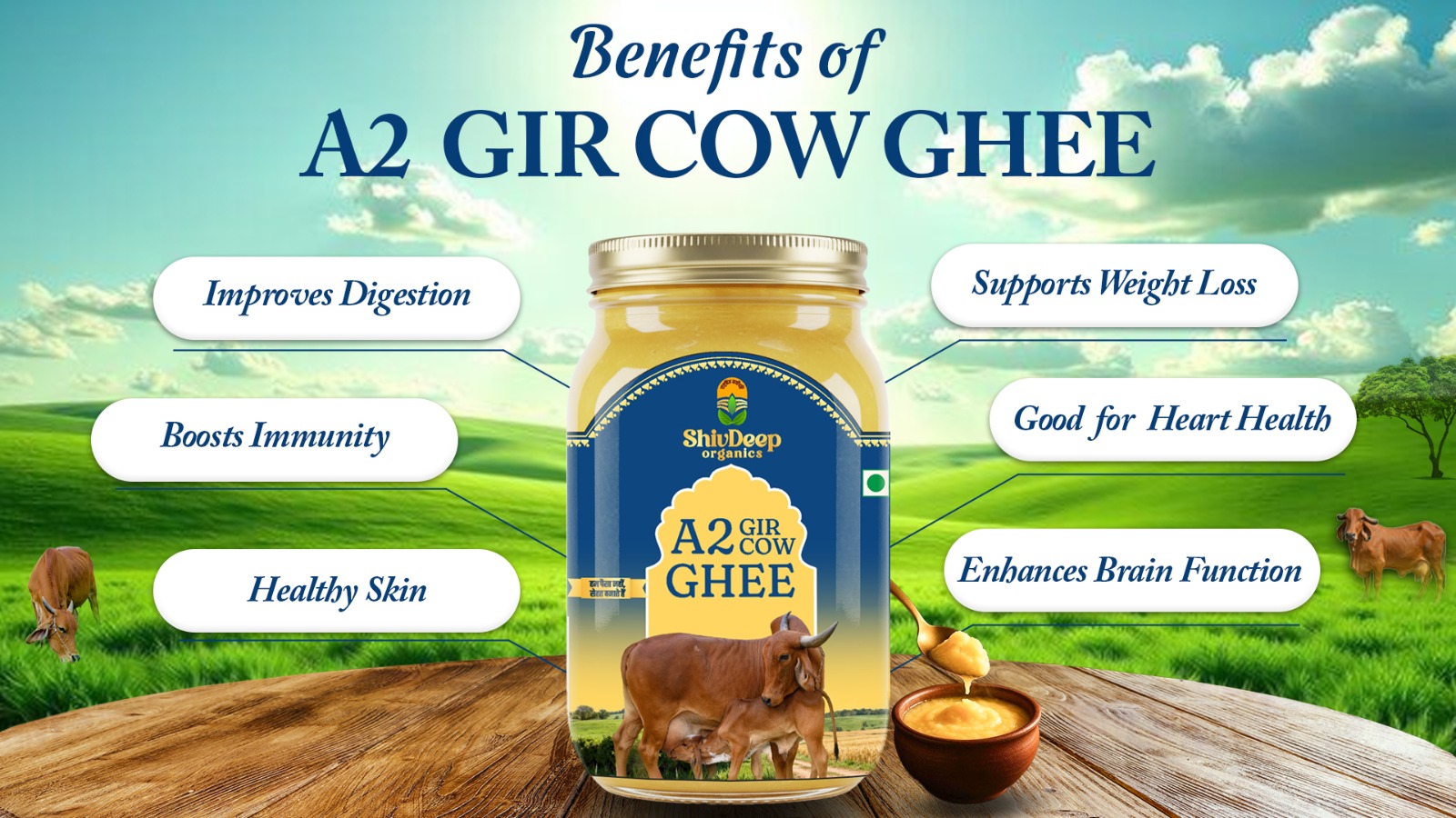 A2 Gir Cow Ghee 1 litre family pack Bhopal Madhya Pradesh